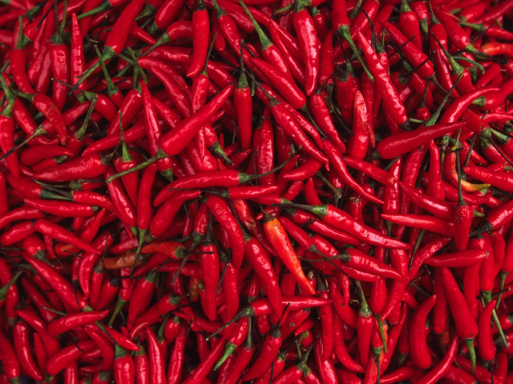 Shades of Red: 7 Types of Indian Chillies – Eastern Food Blog