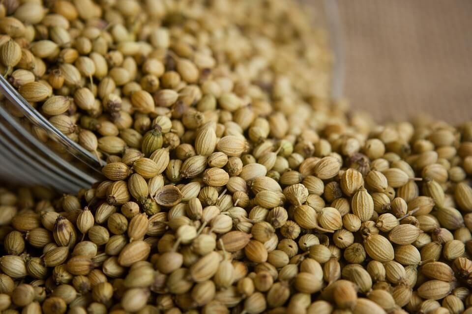 coriander-seeds